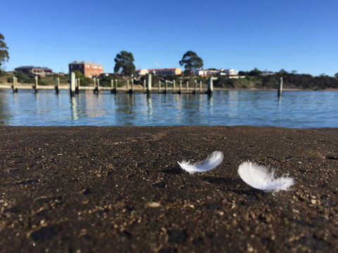 Swansea Holiday Park Tasmania - Hervey Bay Accommodation 39