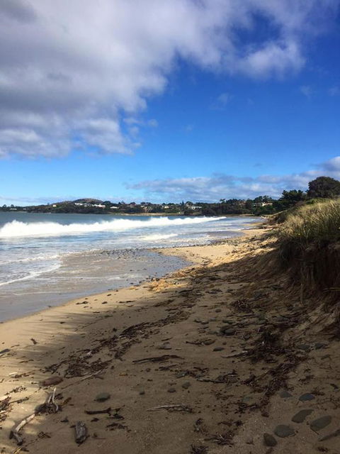 Swansea Holiday Park Tasmania - Hervey Bay Accommodation 15