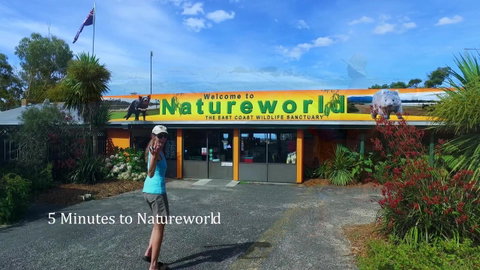 Bicheno Cabin Park - Hervey Bay Accommodation 6