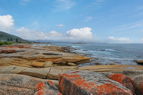 Harvey Farm Lodge - Hervey Bay Accommodation 2