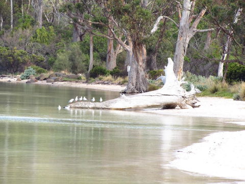 The Boat Shed - Hervey Bay Accommodation 12