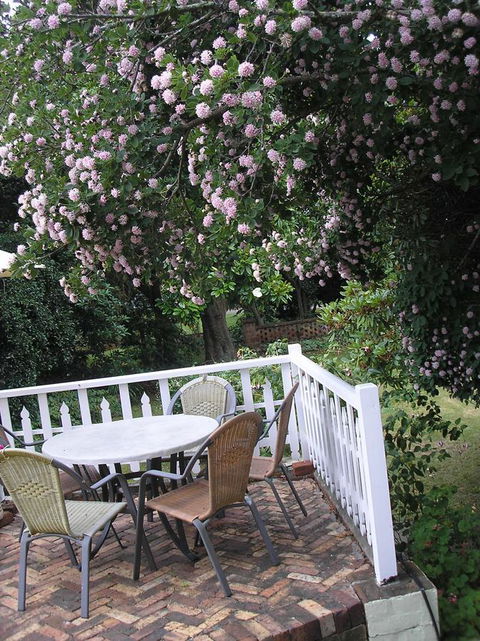 Anabel\'s Of Scottsdale - Hervey Bay Accommodation 33