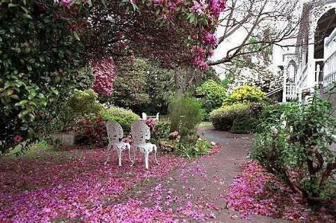 Anabel\'s Of Scottsdale - Hervey Bay Accommodation 36