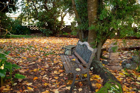 Anabel\'s Of Scottsdale - Hervey Bay Accommodation 38