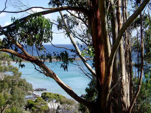 Seascape Beach House - Hervey Bay Accommodation 8
