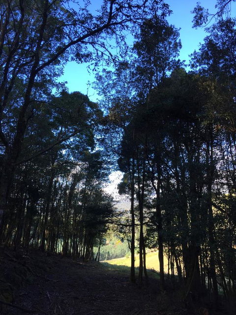 Manna Hill Farm - Hervey Bay Accommodation 27