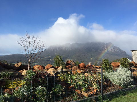 Manna Hill Farm - Hervey Bay Accommodation 25