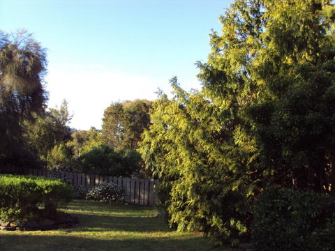 Orford's Sanda House B&B - Hervey Bay Accommodation 42