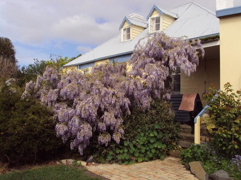 Orford's Sanda House B&B - Hervey Bay Accommodation 40