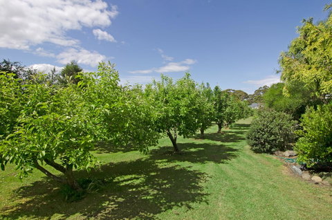 Orford's Sanda House B&B - Hervey Bay Accommodation 37