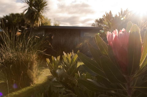 Eagle Peaks At Freycinet - Hervey Bay Accommodation 8
