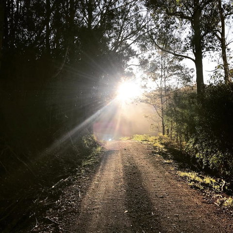 The Pear Cottage - Hervey Bay Accommodation 23