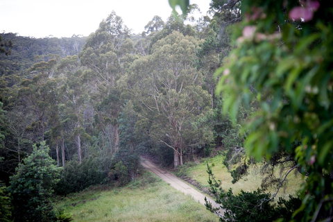 The Pear Cottage - Hervey Bay Accommodation 19