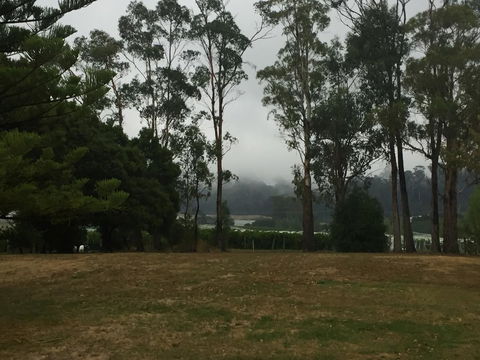 Amble\'a\'While On Tamar - Hervey Bay Accommodation 39