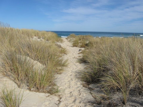 Blue Seas Holiday Villas - Hervey Bay Accommodation 9