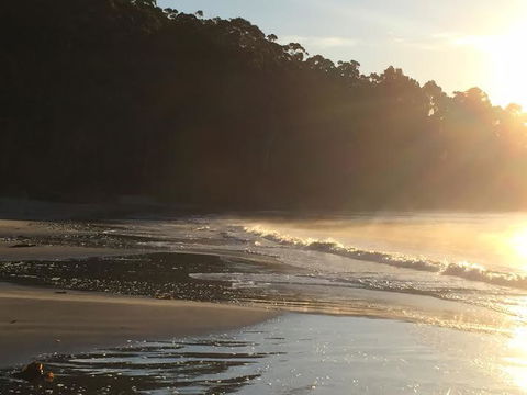 Summertime Cottage - Tourism Hervey Bay 7