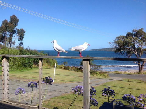 Summertime Cottage - Tourism Hervey Bay 25