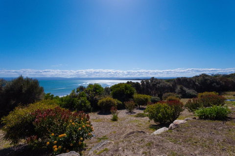 Banksy's By The Bay - Hervey Bay Accommodation 16