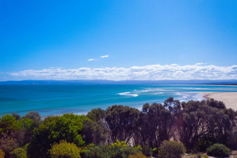 Banksy's By The Bay - Hervey Bay Accommodation 15
