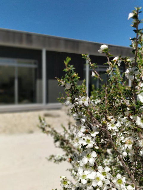 Aplite House - Hervey Bay Accommodation 7