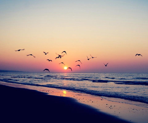 Kingston Beach-House Retreat - Hervey Bay Accommodation 18