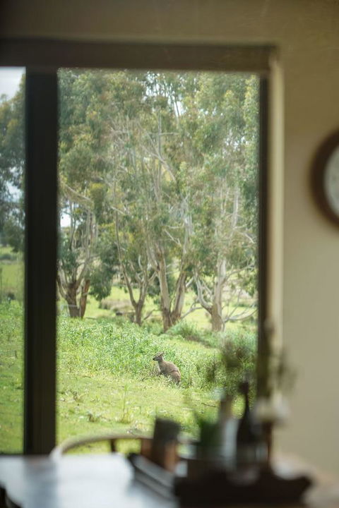 Adventure Bay Retreat Bruny Island - Hervey Bay Accommodation 7