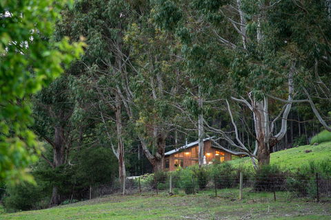 Adventure Bay Retreat Bruny Island - Hervey Bay Accommodation 24