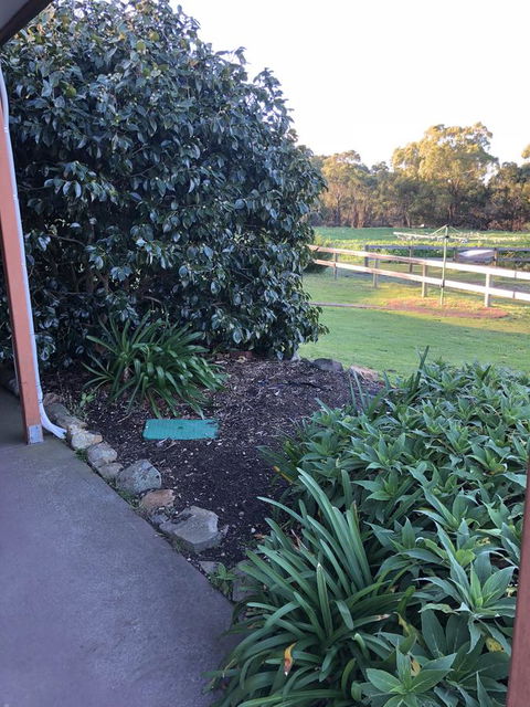Acton Park Holiday Units - Hervey Bay Accommodation 20