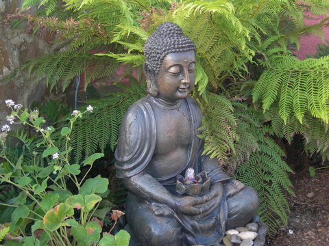 Platypus Park Country Retreat - Hervey Bay Accommodation 23