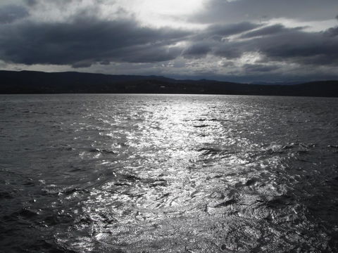 Maydena Chalet - Hervey Bay Accommodation 33