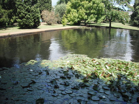 Maydena Chalet - Hervey Bay Accommodation 23
