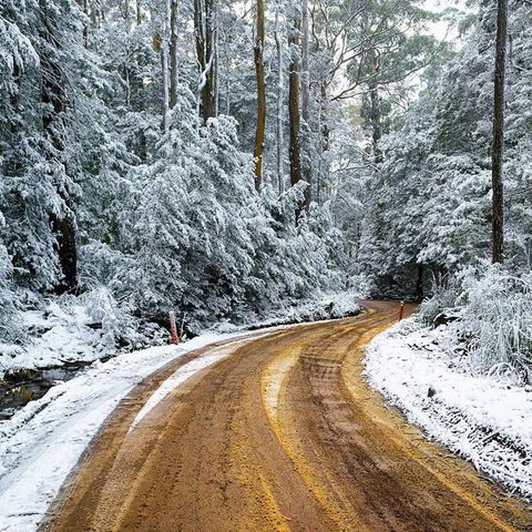 Maydena Chalet - Hervey Bay Accommodation 41