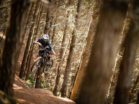 Maydena Chalet - Hervey Bay Accommodation 6