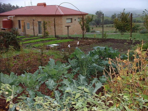 Cherry Top Farmstay - Boutique Eco Village - Tourism Hervey Bay 15