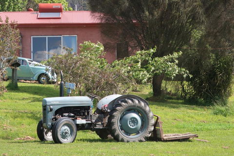 Cherry Top Farmstay - Boutique Eco Village - Tourism Hervey Bay 25