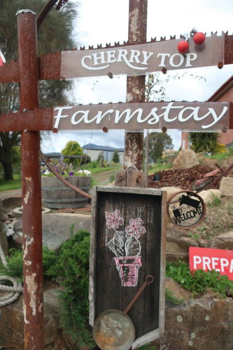 Cherry Top Farmstay - Boutique Eco Village - Tourism Hervey Bay 5