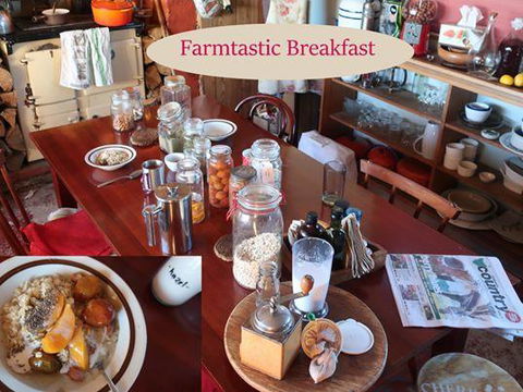 Cherry Top Farmstay - Boutique Eco Village - Tourism Hervey Bay 17