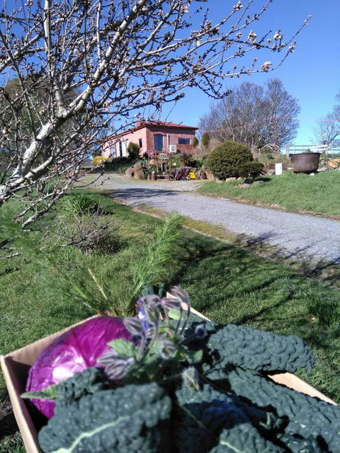 Cherry Top Farmstay - Boutique Eco Village - Tourism Hervey Bay 23