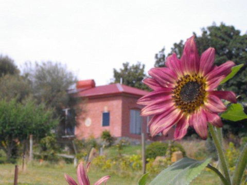 Cherry Top Farmstay - Boutique Eco Village - Tourism Hervey Bay 27