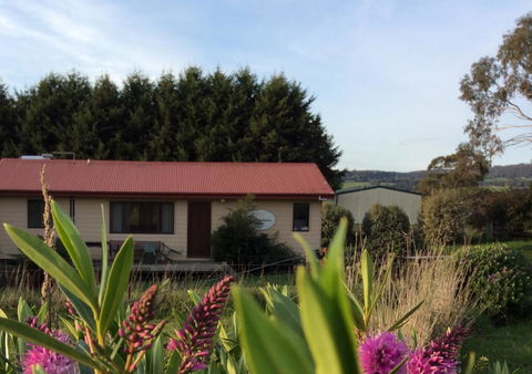 Cherry Top Farmstay - Boutique Eco Village - Tourism Hervey Bay 22