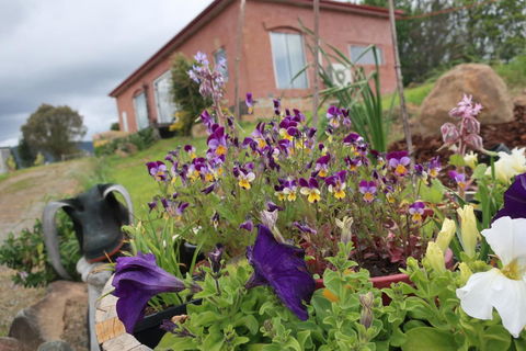 Cherry Top Farmstay - Boutique Eco Village - Tourism Hervey Bay 7