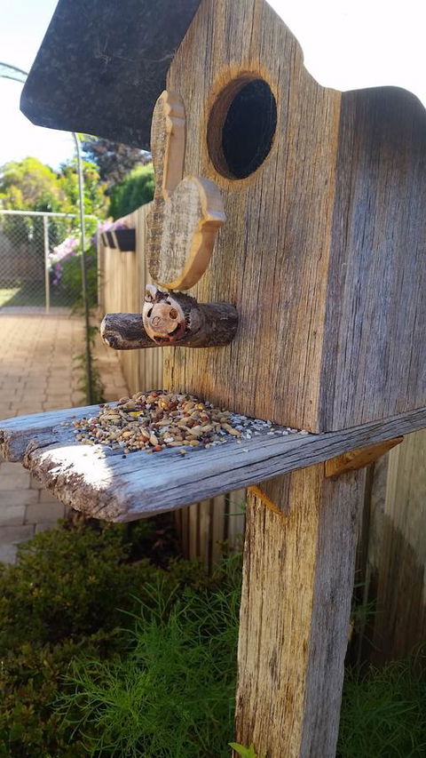 Driftwood-Cottage - Tourism Hervey Bay 29