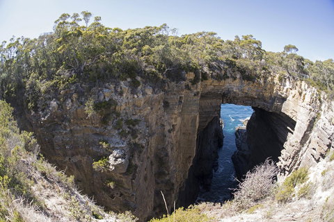 Eaglehawk Pavilions - Hervey Bay Accommodation 34