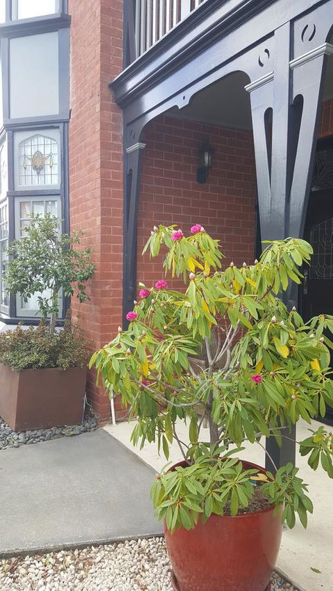 Insomnia On Elizabeth - Hervey Bay Accommodation 35
