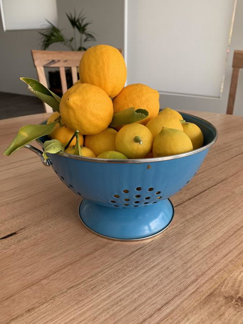 Anchorage Tasmania - Hervey Bay Accommodation 21