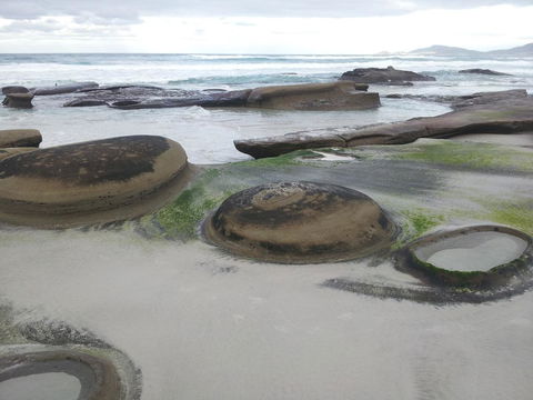 Suntrap Cove Bicheno - Hervey Bay Accommodation 6