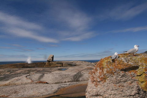 Suntrap Cove Bicheno - Hervey Bay Accommodation 37
