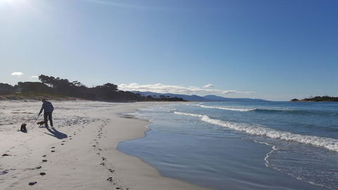 Suntrap Cove Bicheno - Hervey Bay Accommodation 5