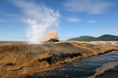 Suntrap Cove Bicheno - Hervey Bay Accommodation 0