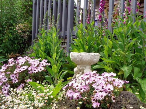 Post House Cottage - Hervey Bay Accommodation 19